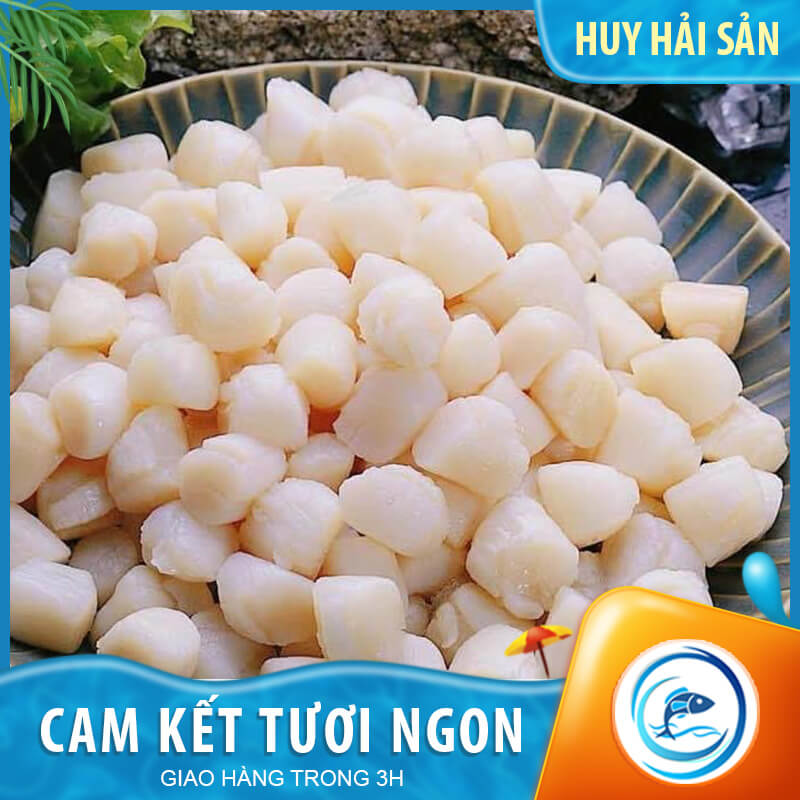 Cồi Sò Điệp Tươi- Khay 500g