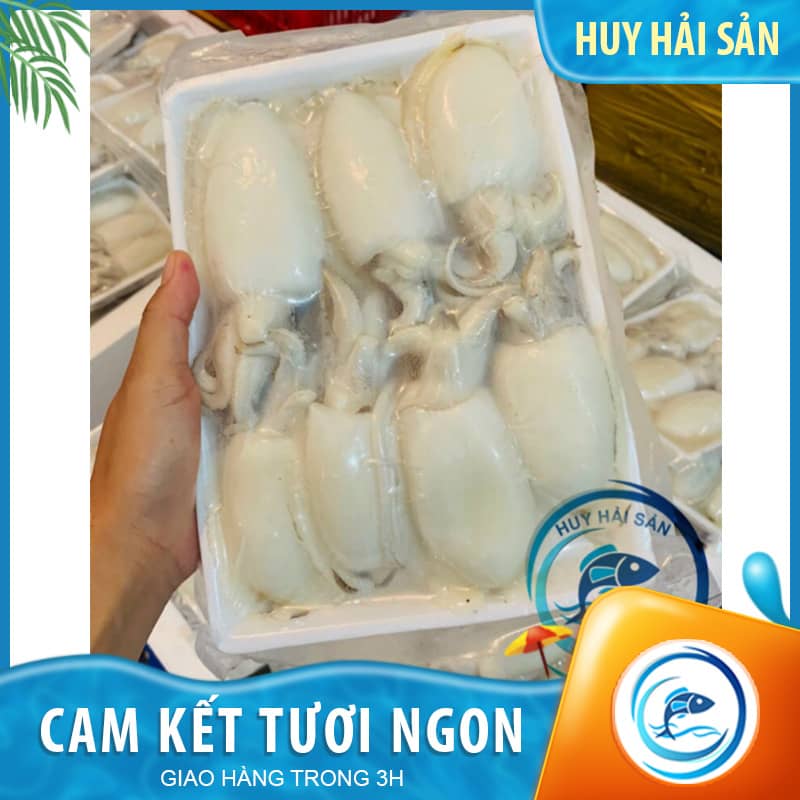 Mực bầu baby - Khay 500g