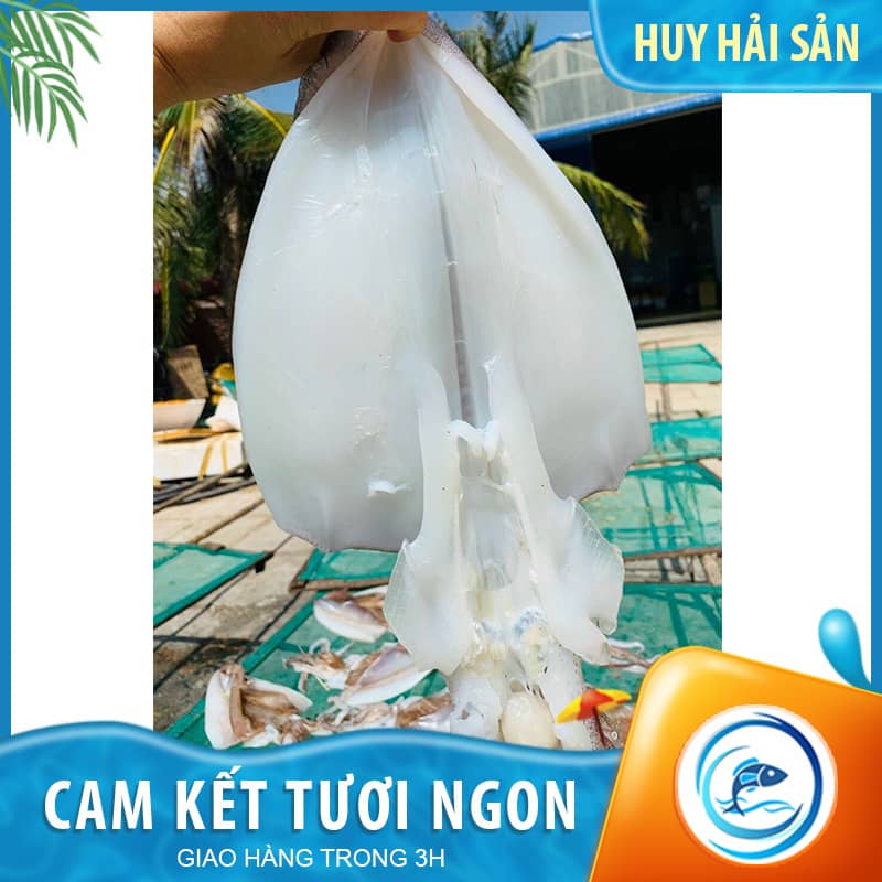 Mực lá một nắng size 2-3 con - Gói 1kg