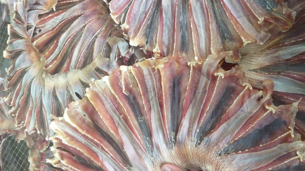 Khô cá đuối - Gói 1kg - Hình ảnh 2