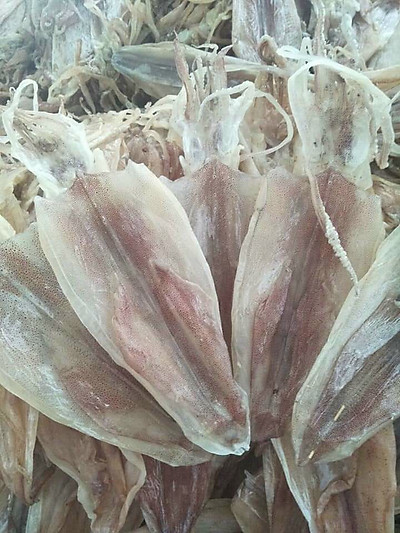 Khô Mực size 20-25 con – gói 500g - Hình ảnh 2