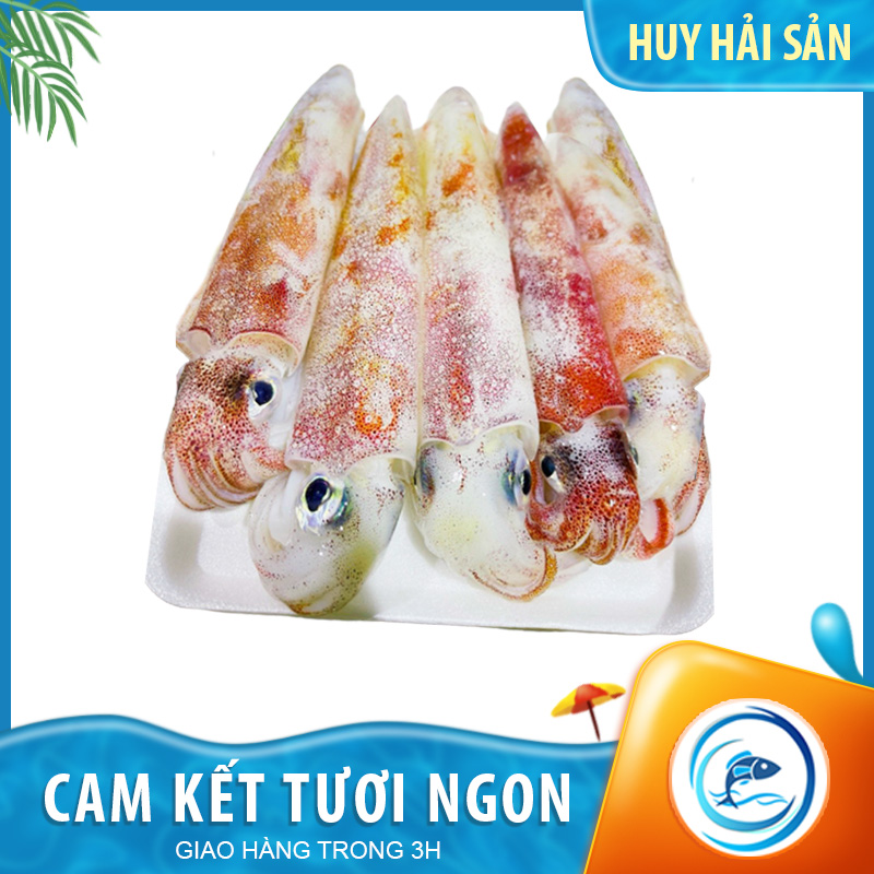 Mực ống mino 10-12 con – khay 500g