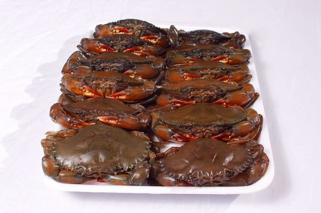 Cua Lột - hộp 1kg