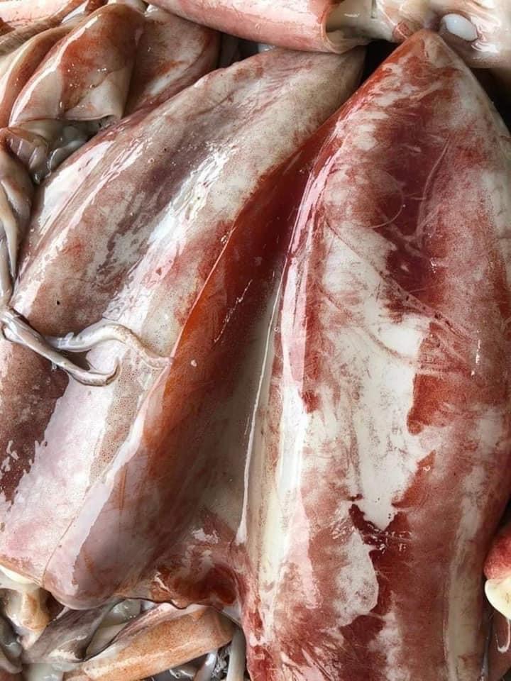 Mực lá đại dương - Kg - Hình ảnh 5
