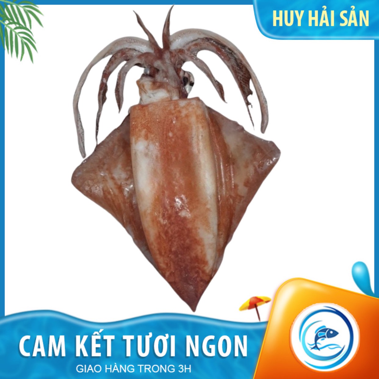 Mực lá đại dương - Kg