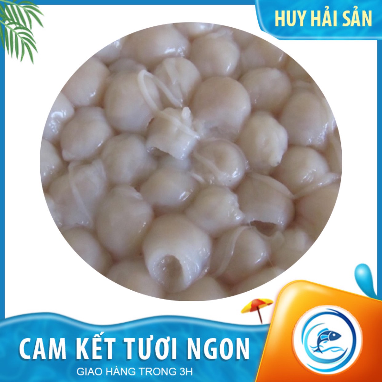 Răng mực - Túi 1kg