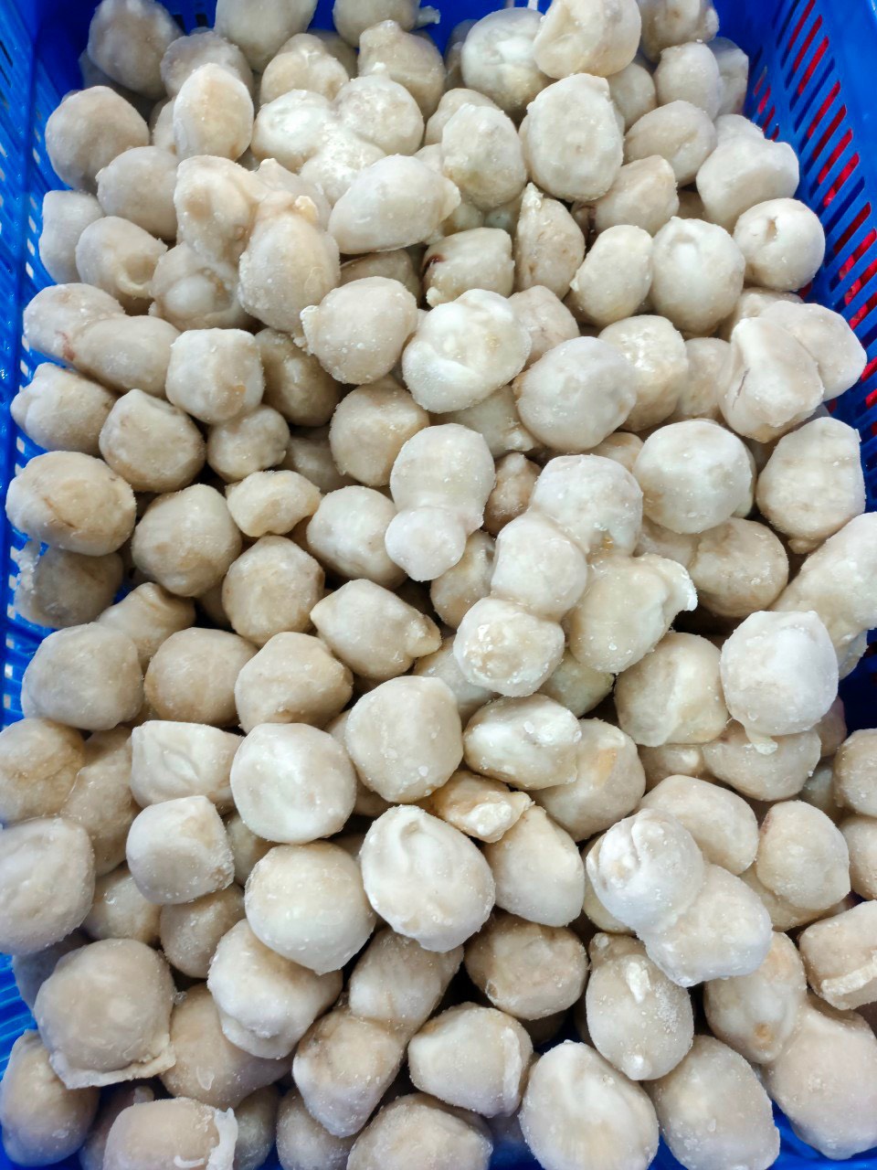 Răng mực - Túi 1kg - Hình ảnh 6