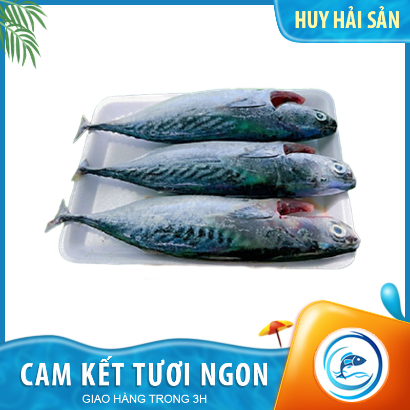 Cá ngừ làm sạch - Nguyên con