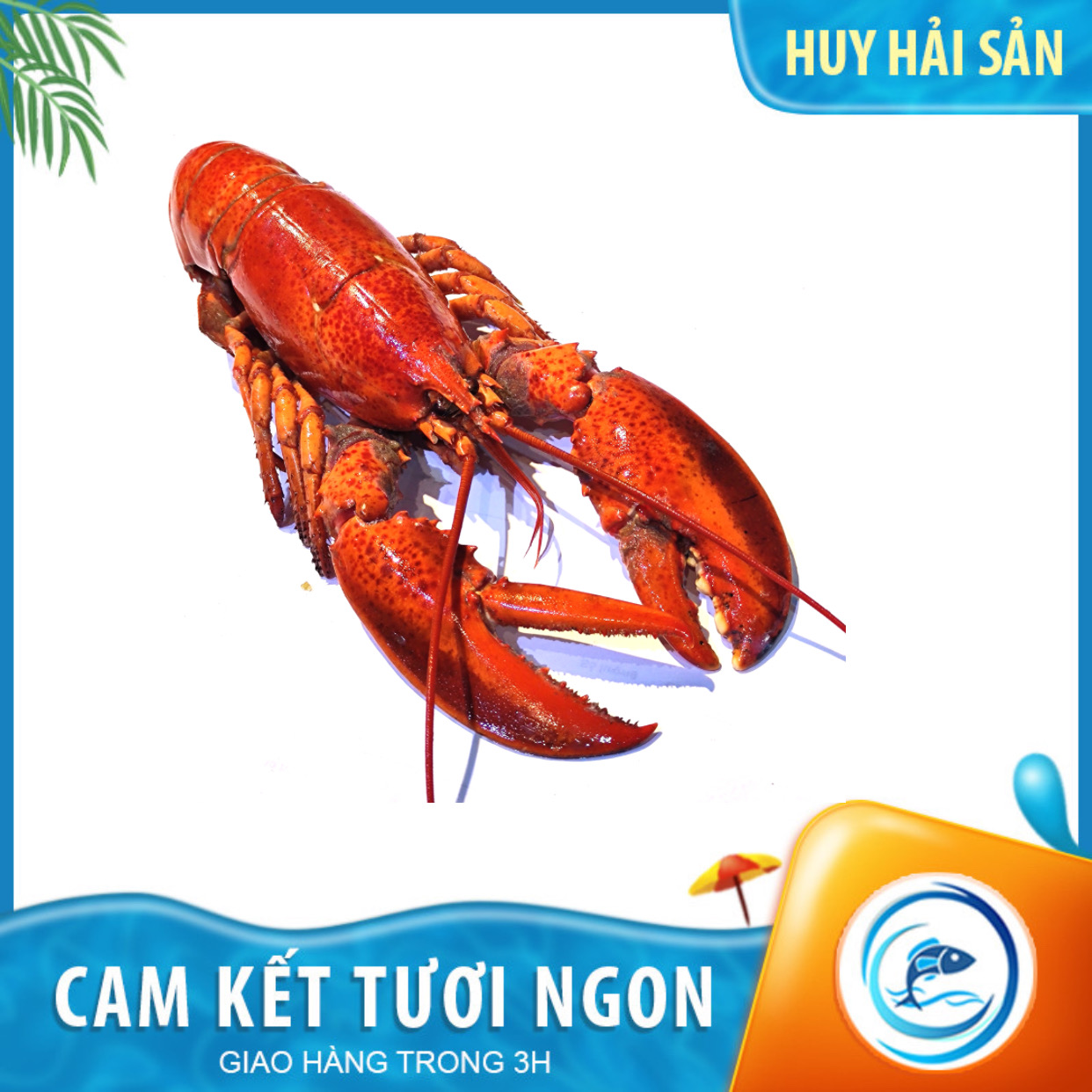 Tôm Hùm Canada Hấp - Kg
