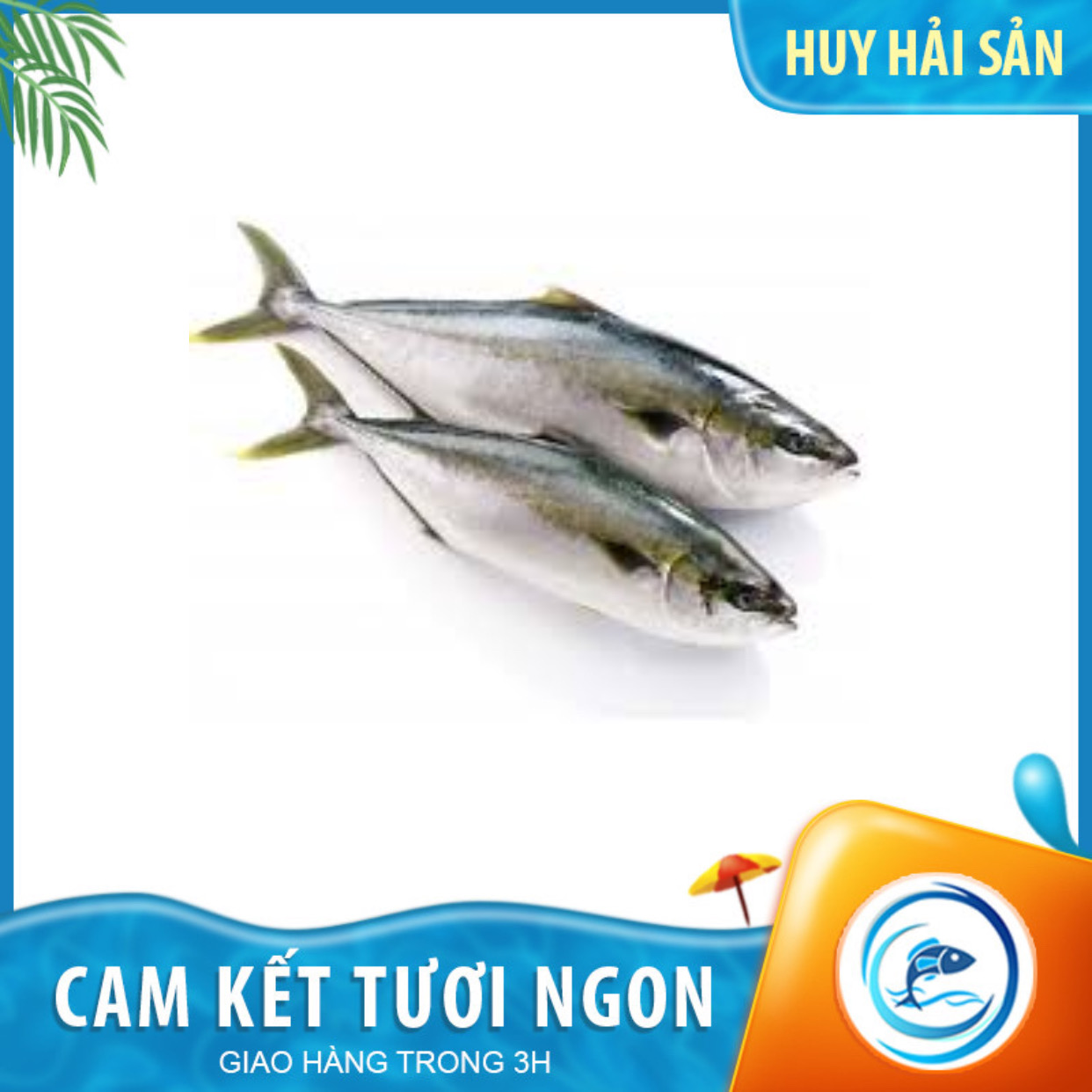 Cá Cam Nhật Nguyên Con - Kg