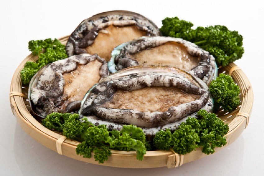 bào ngư hàn quốc