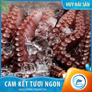 Bạch tuộc Nhật và những gì bạn nên biết