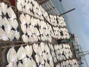 cá dứa một nắng