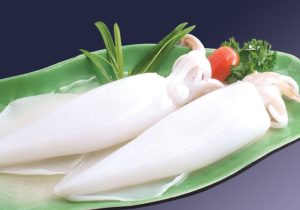 mực ống một nắng đặc biệt