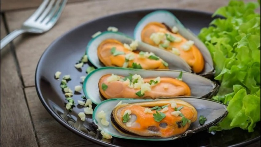 vẹm xanh newzealand