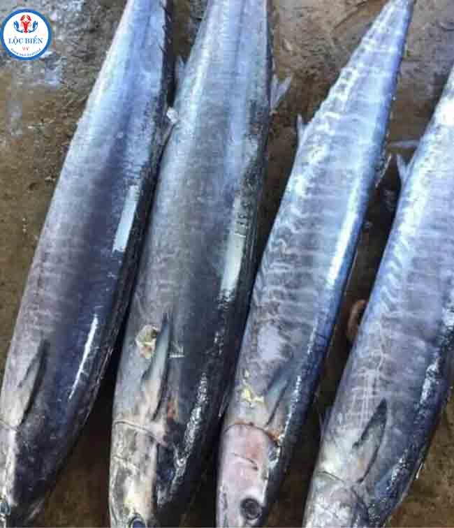 Cá Thu Tươi Sống - Kg - Hình ảnh 2