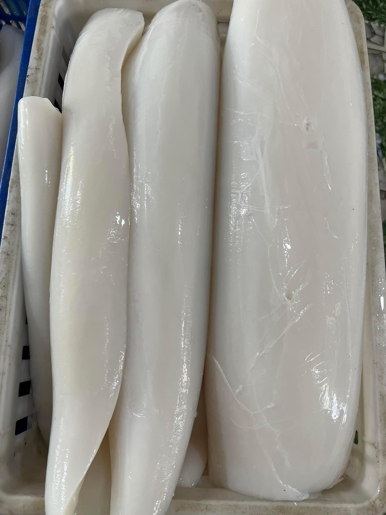 Phi Lê ( File) Mực Lá Đại Dương - Kg - Hình ảnh 2